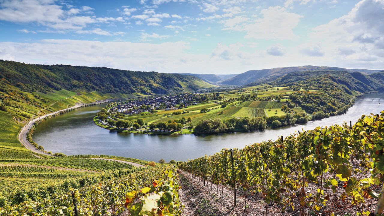 Weinbauregion Mosel & Moselschleife